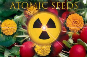 Atomic Seeds