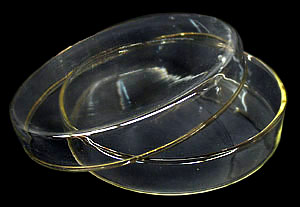 (image for) Petri Dish w/cover - Click Image to Close