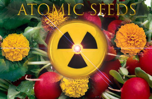 (image for) Atomic Seeds