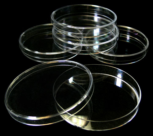 Petri Dishes, disposable plastic, pk of 5